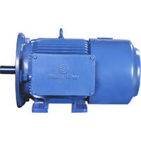 BBL IE2 Safe Area Motors Upto Frame 132 BBL IE2 Safe Area Motors Upto Frame 132