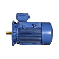 BBL IE2 Safe Area Motors Upto Frame 132 BBL IE2 Safe Area Motors Upto Frame 132