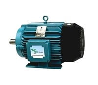 CG IE2 Safe Area Motors Upto Frame 132