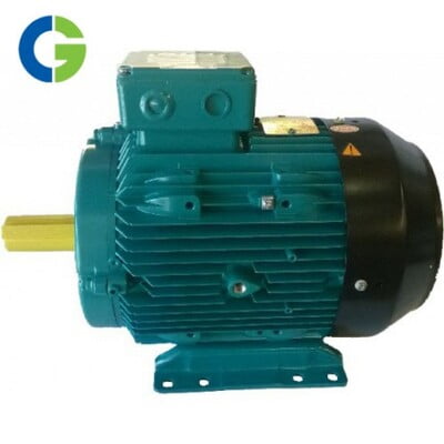 CG IE2 Safe Area Motors Upto Frame 132