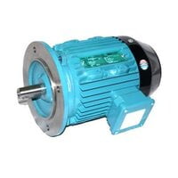 CG IE2 Safe Area Motors Upto Frame 132